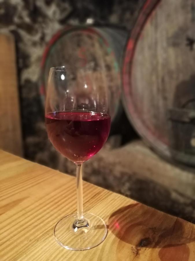 Apartamento Ansitz Grustdorf Appiano Sulla Strada Del Vino Exterior foto